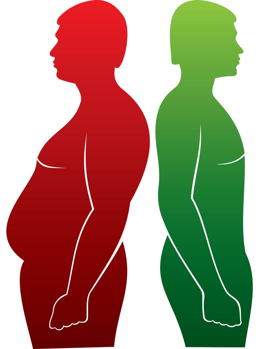 Study Questions the Concept Of Healthy but Obese - Heart Advisor