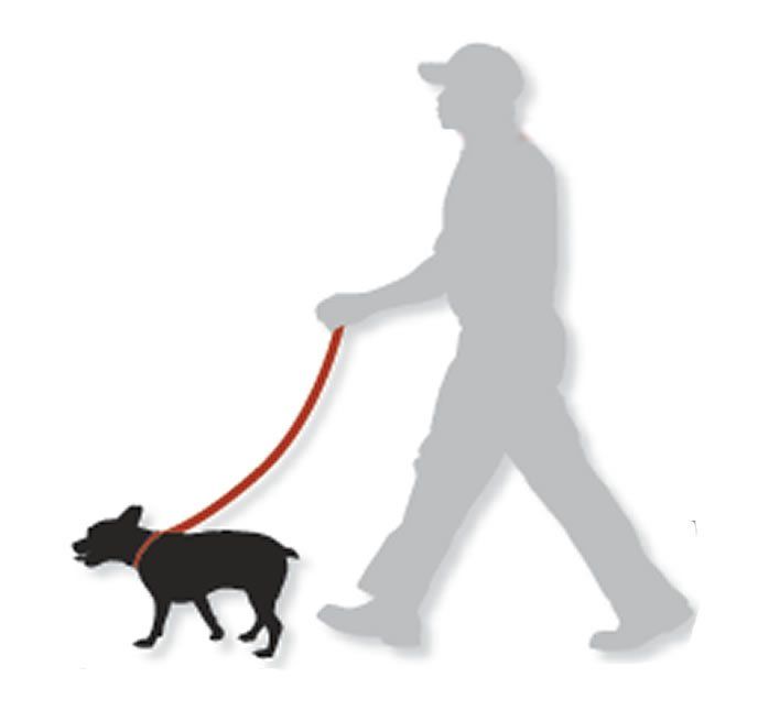 p193ohhfgp107dvhamia12bmco86