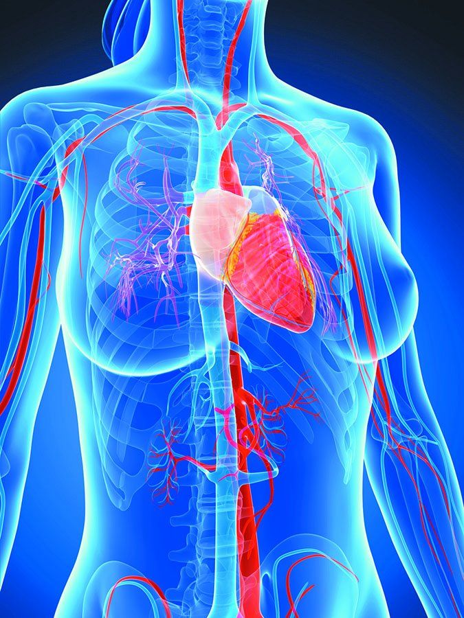 p1a899ipuo1krg1fikg5gpjale67