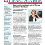 Download The Full November 2021 Issue PDF