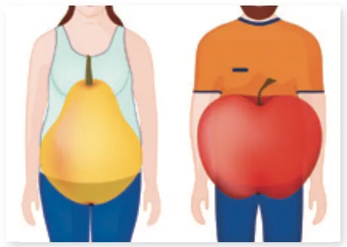 Screen Shot 2022-08-19 at 10.43.27 AM