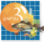 Screen Shot 2024-02-10 at 3.09.47 PM