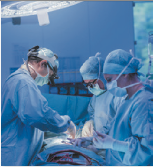 Screen Shot 2024-02-10 at 3.16.06 PM