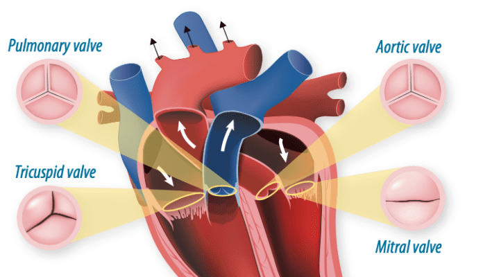 Screen Shot 2025-04-06 at 8.55.04 PM