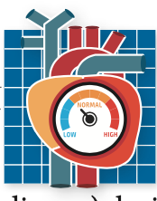 Screen Shot 2025-07-11 at 9.22.01 AM