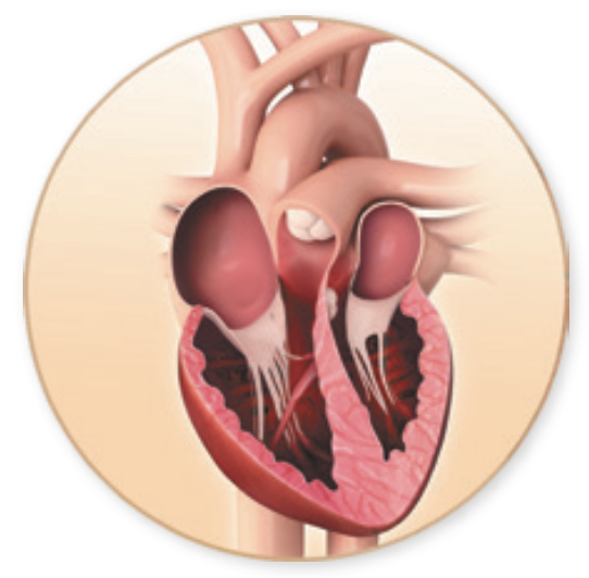 Screen Shot 2025-08-24 at 9.34.30 AM