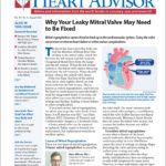 Download Full August 2026 Issue PDF
